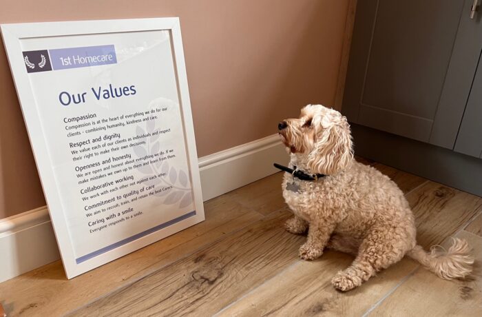 benji values