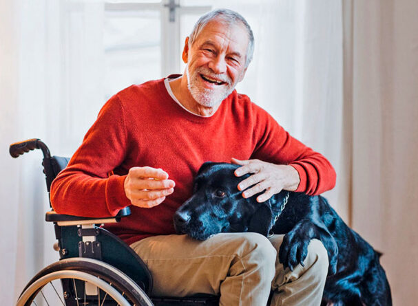 1st Homecare. Home Care in Leighton Buzzard. Home Care in Kings Langley. Home Care in Oxford.